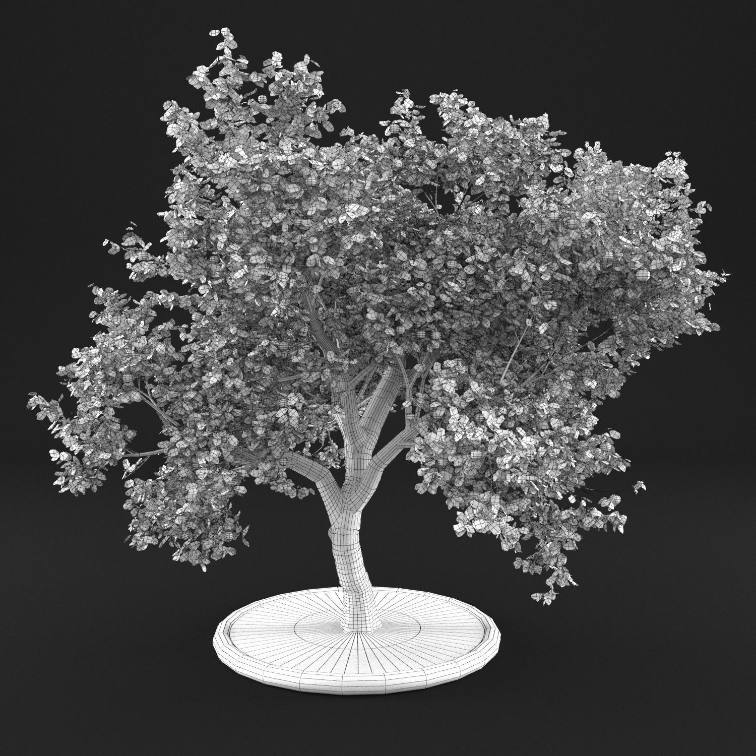 Apple Tree with Leaves 3D model_8