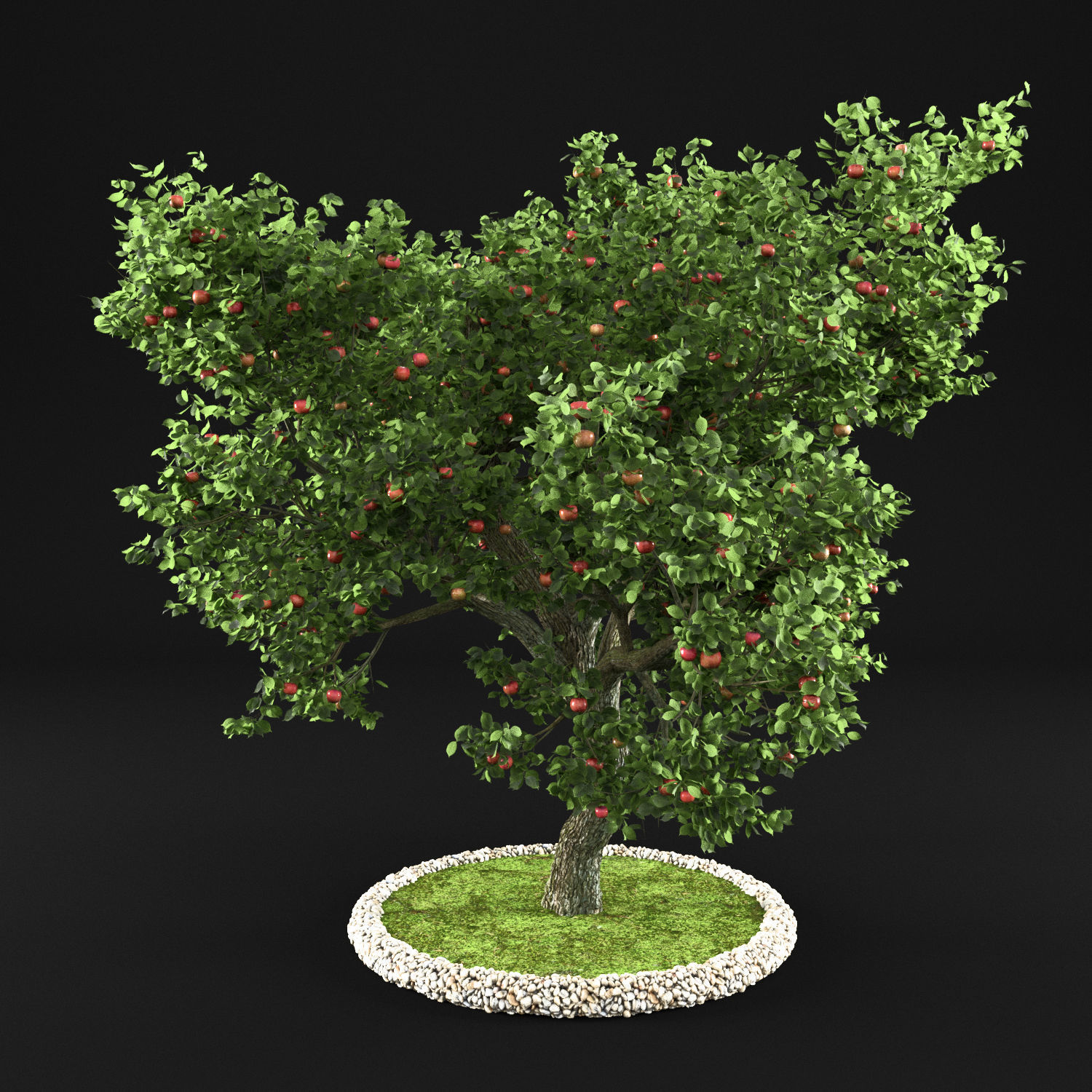 Apple Tree with Leaves 3D model_4