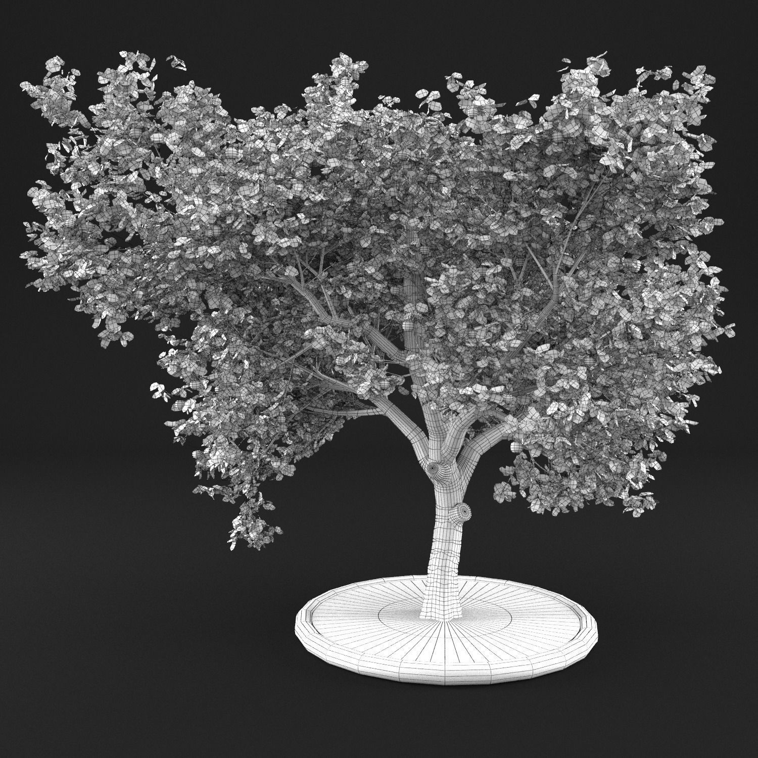 Apple Tree with Leaves 3D model_7