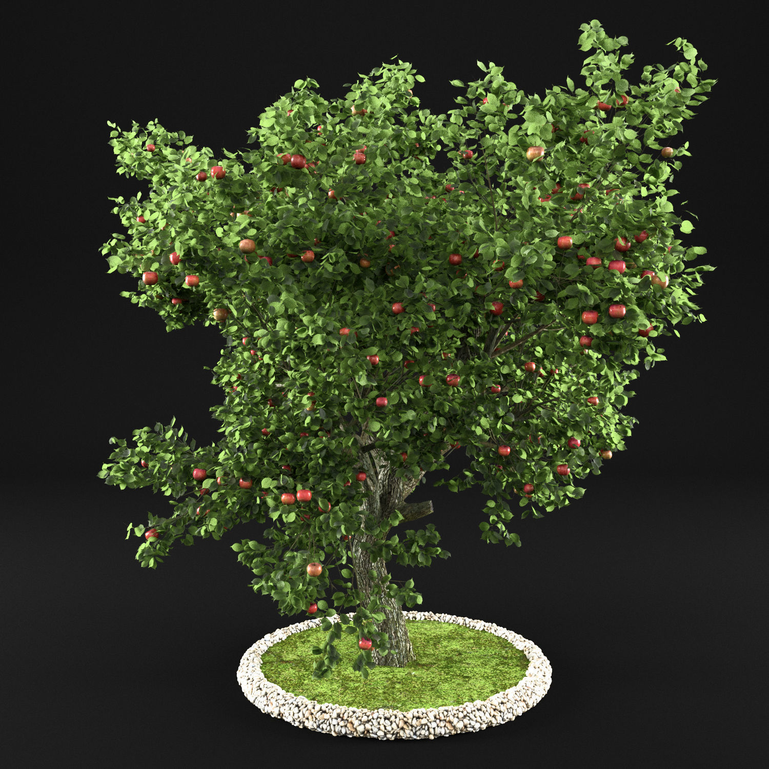 Apple Tree with Leaves 3D model_5