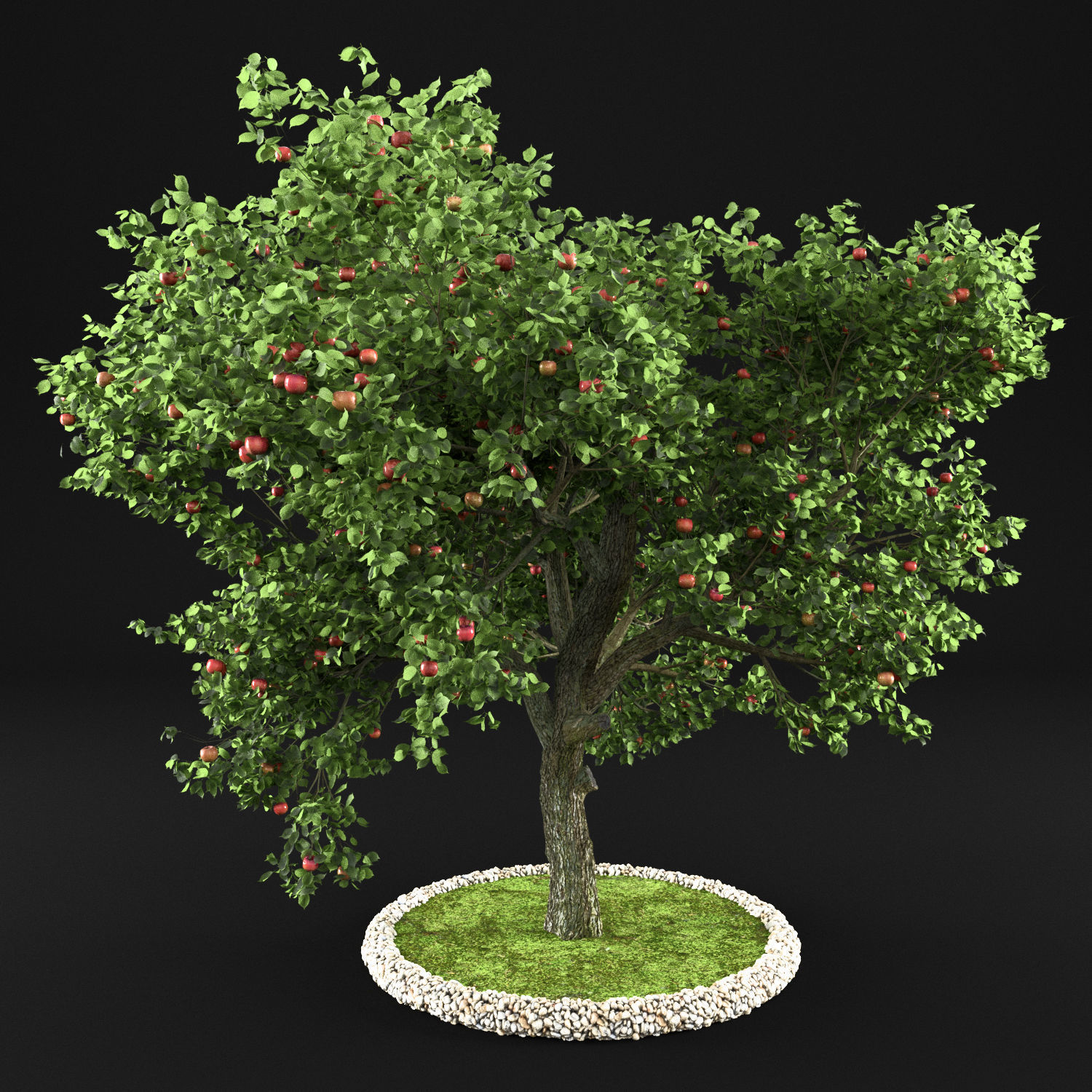 Apple Tree with Leaves 3D model_10