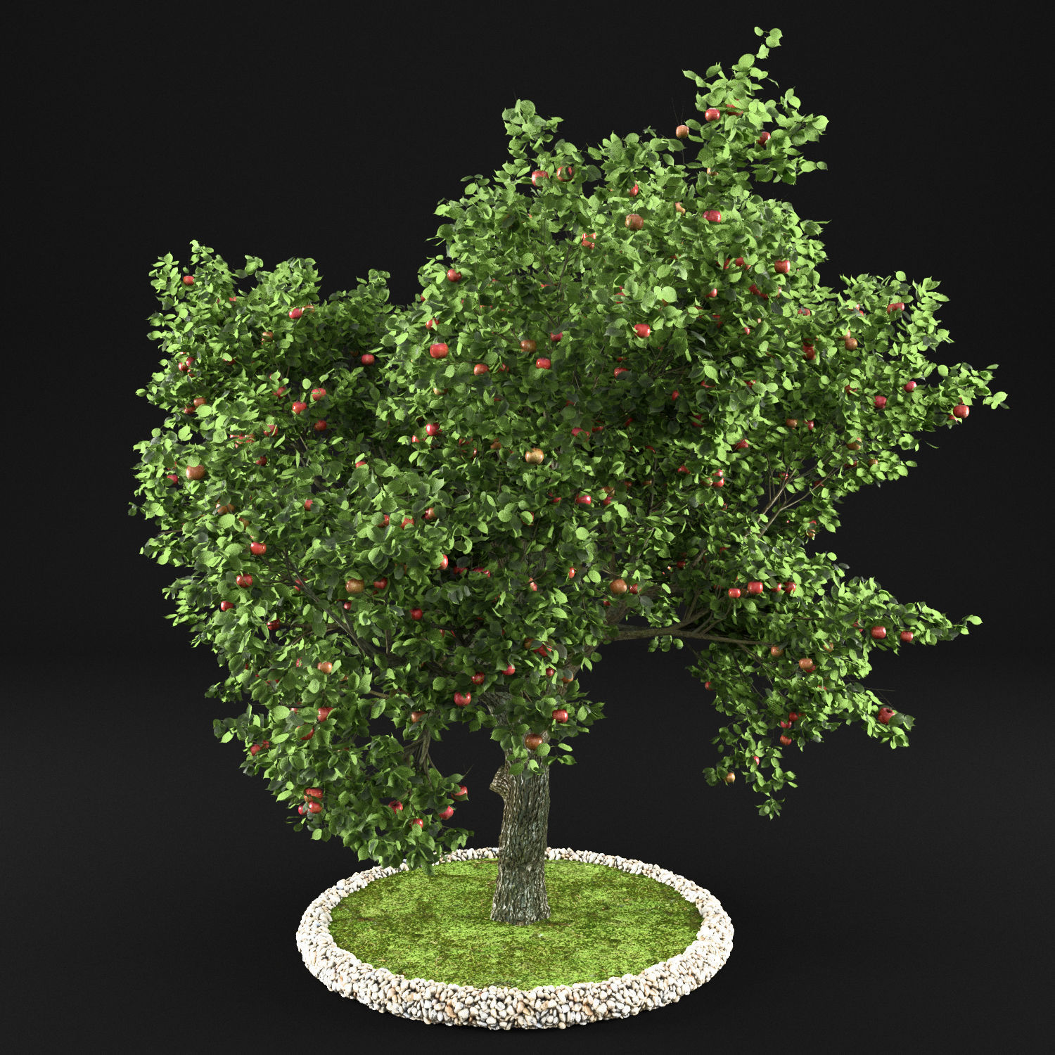 Apple Tree with Leaves 3D model_2