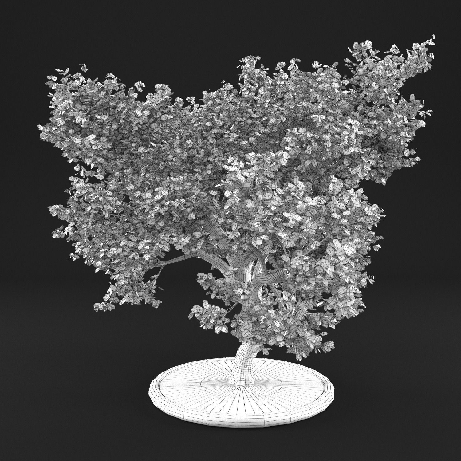 Apple Tree with Leaves 3D model_11