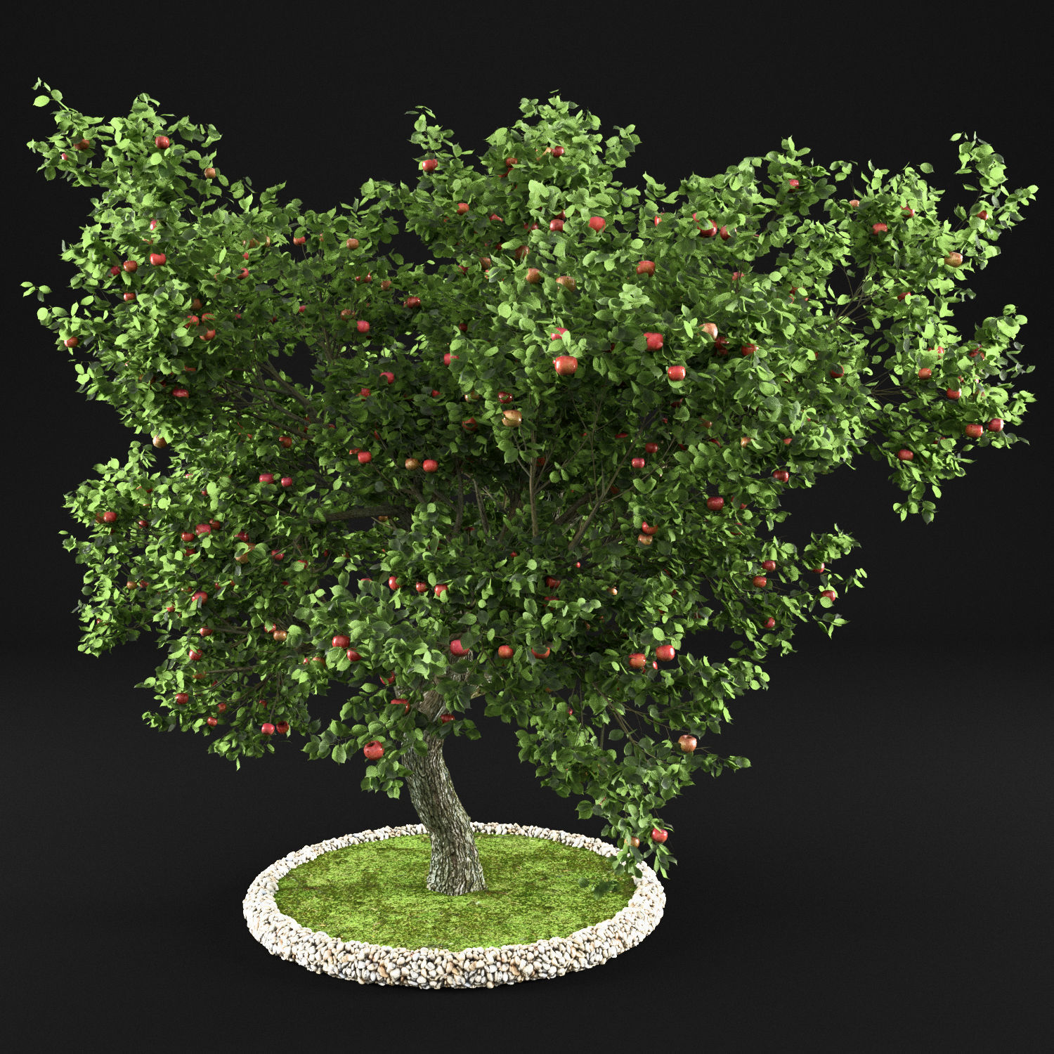 Apple Tree with Leaves 3D model_6
