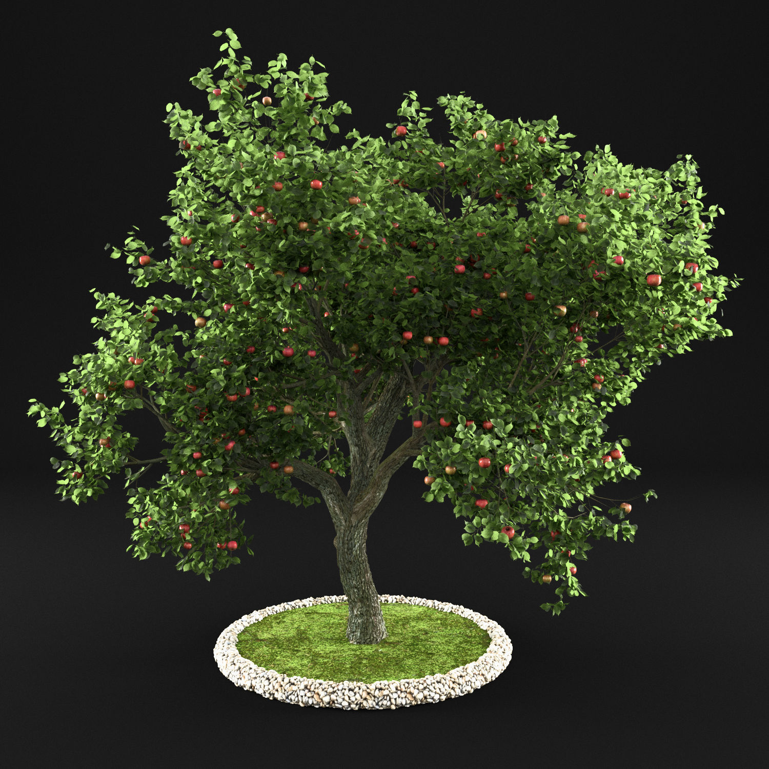 Apple Tree with Leaves 3D model_1