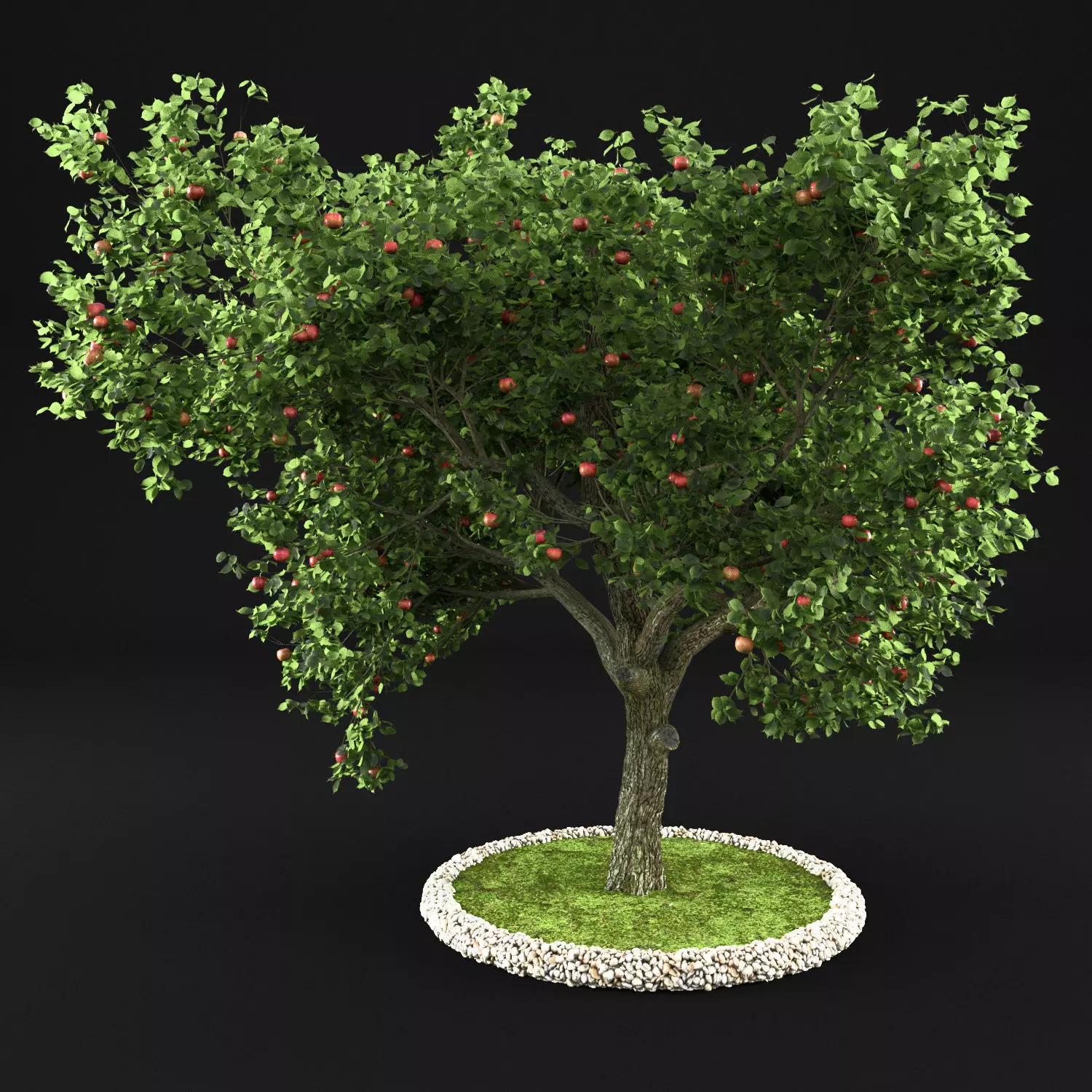 Apple Tree with Leaves 3D model_0