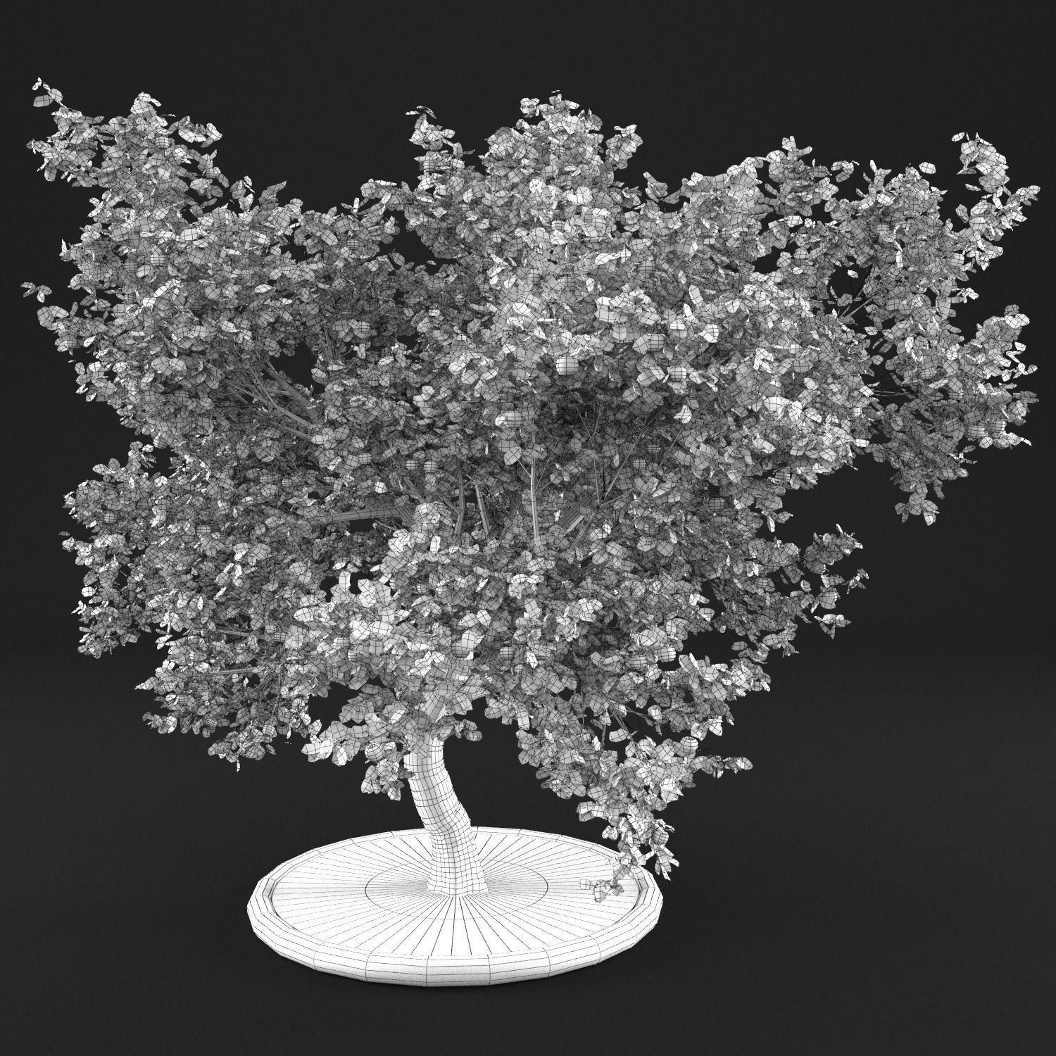 Apple Tree with Leaves 3D model_15
