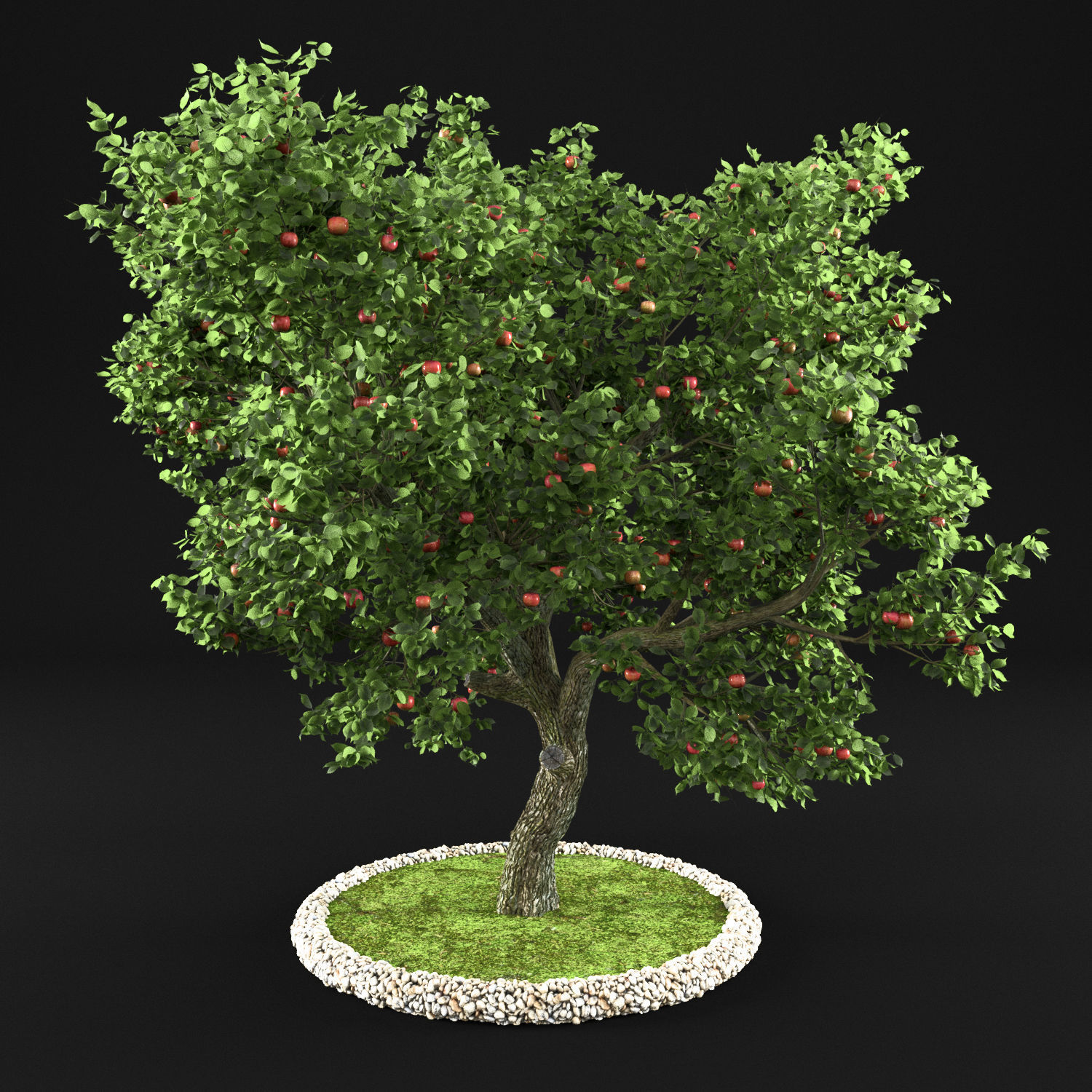 Apple Tree with Leaves 3D model_3