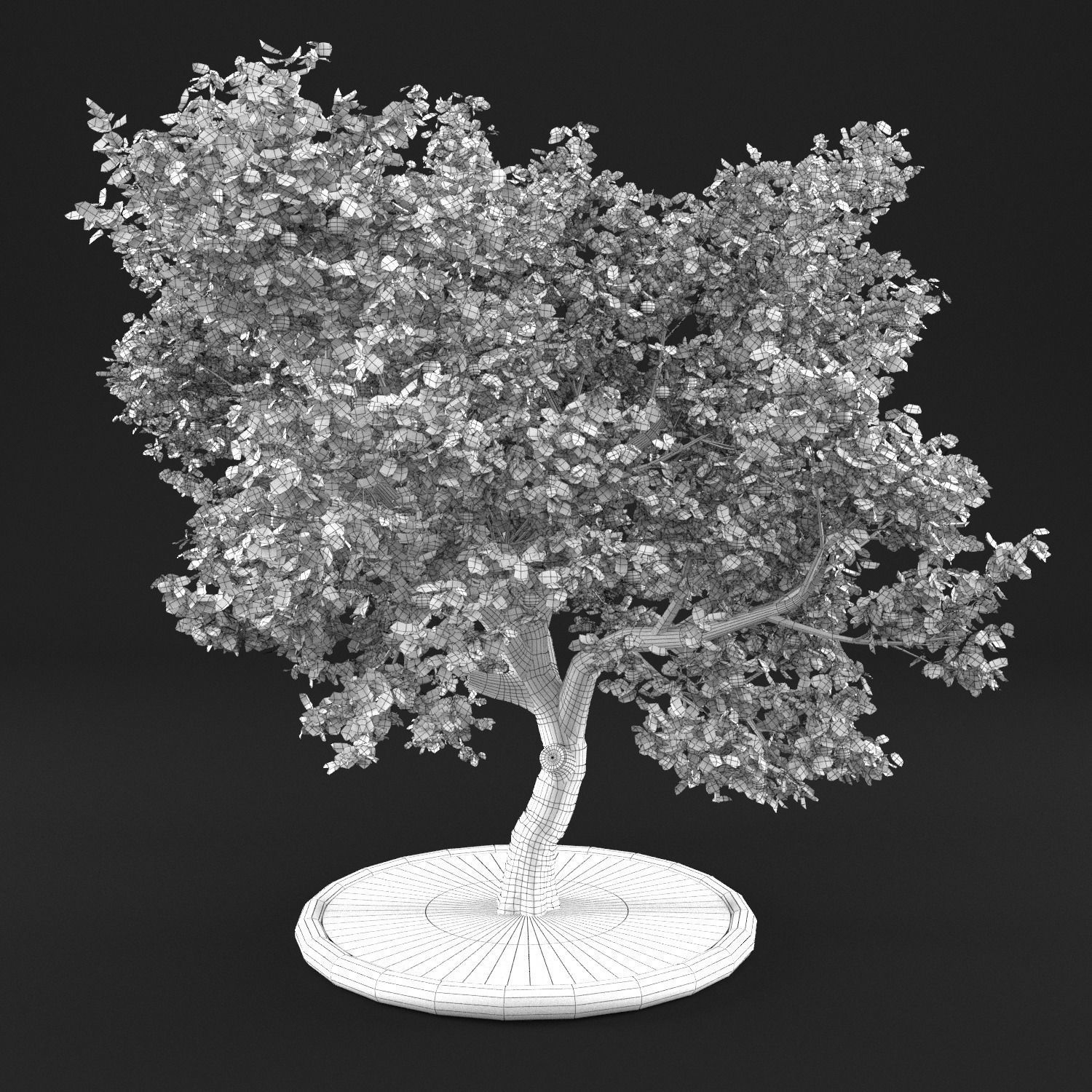 Apple Tree with Leaves 3D model_9