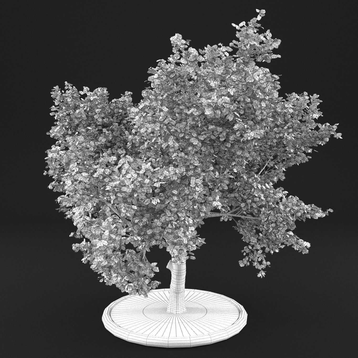 Apple Tree with Leaves 3D model_12