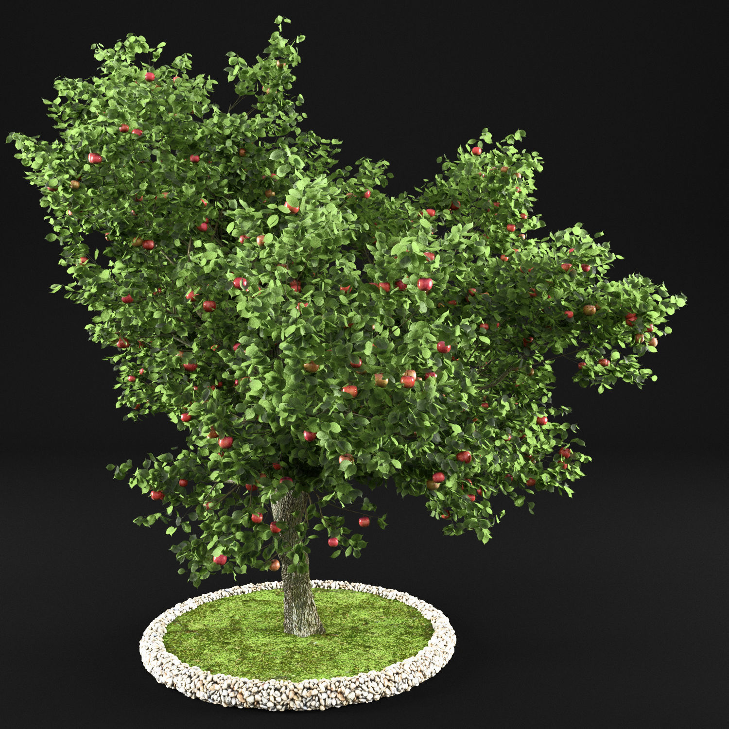 Apple Tree with Leaves 3D model_2