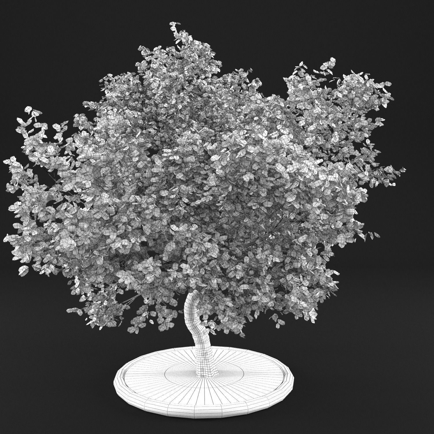 Apple Tree with Leaves 3D model_10