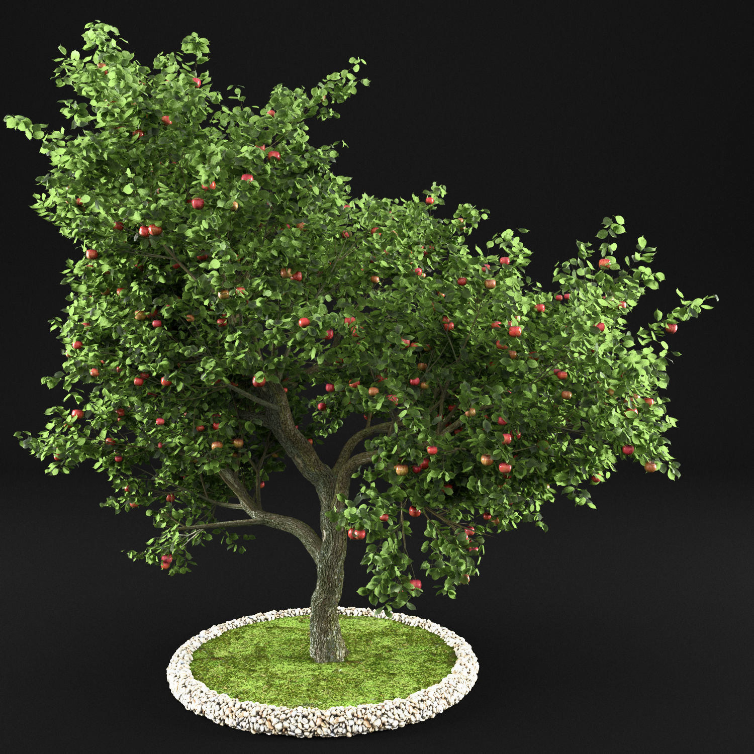 Apple Tree with Leaves 3D model_4