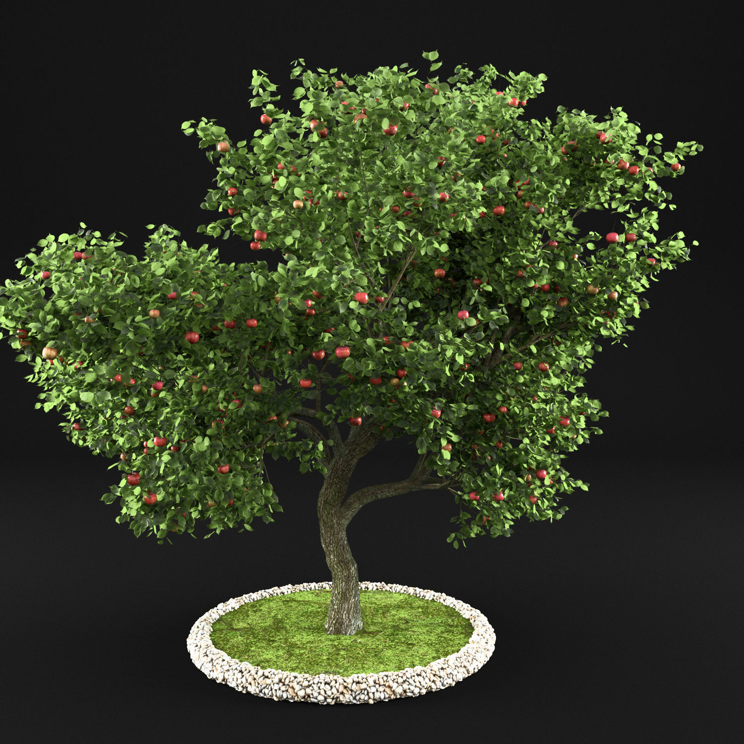 Apple Tree with Leaves 3D model_3