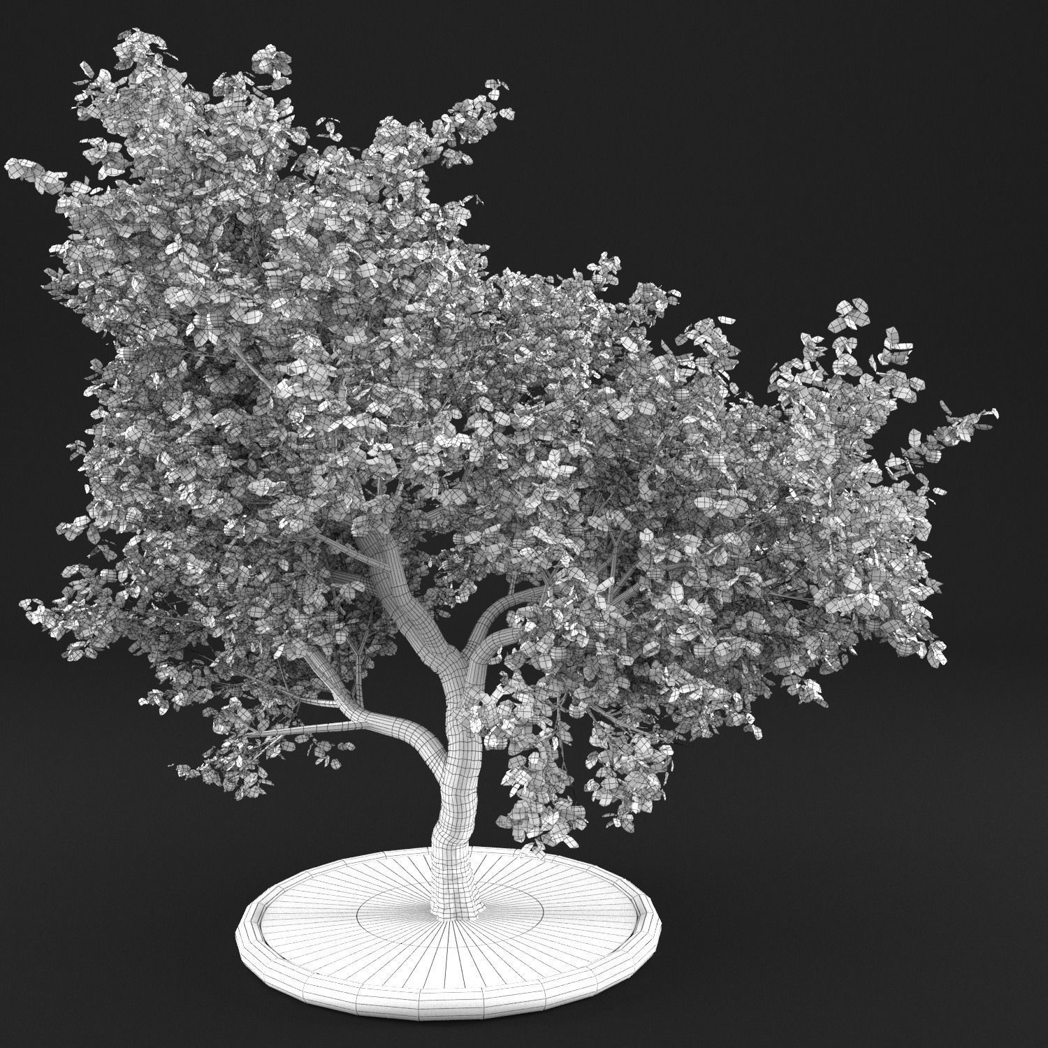 Apple Tree with Leaves 3D model_13