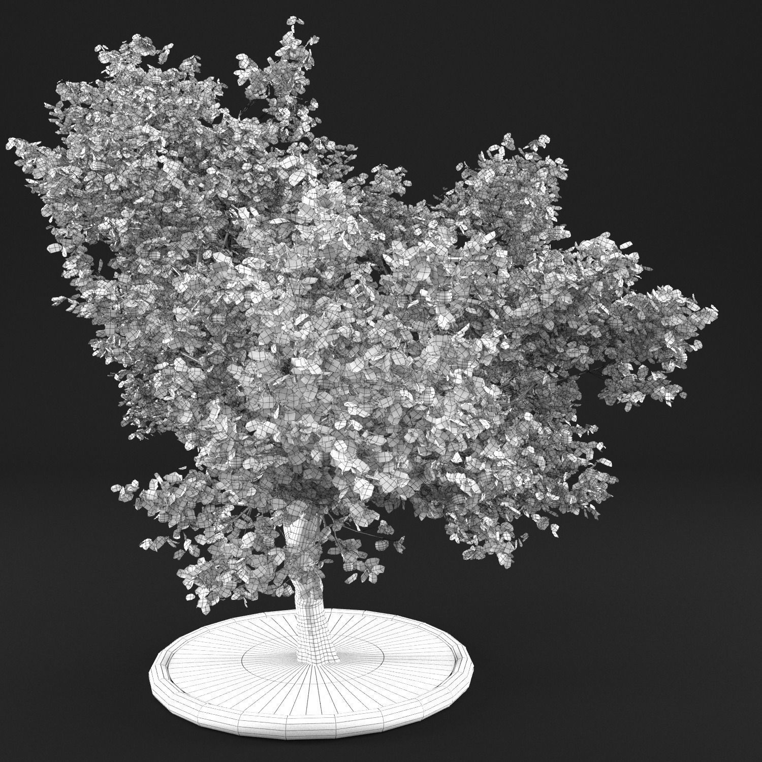 Apple Tree with Leaves 3D model_9