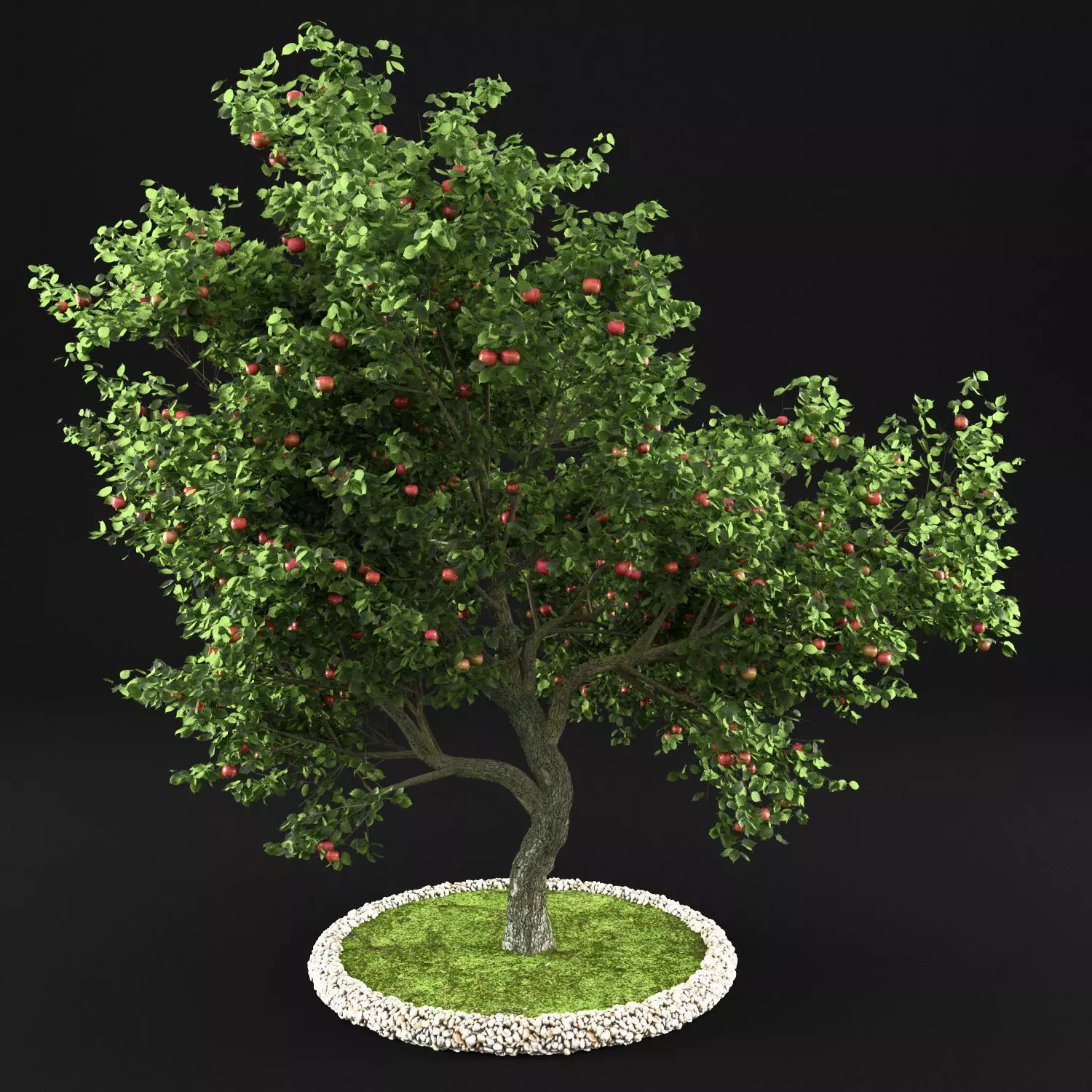 Apple Tree with Leaves 3D model_0