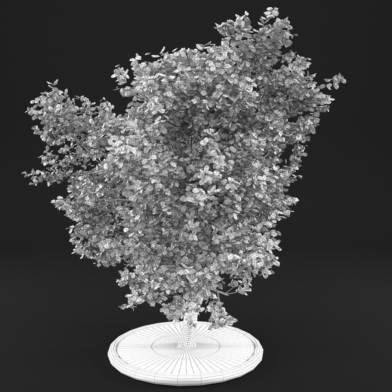 Apple Tree with Leaves 3D model_14
