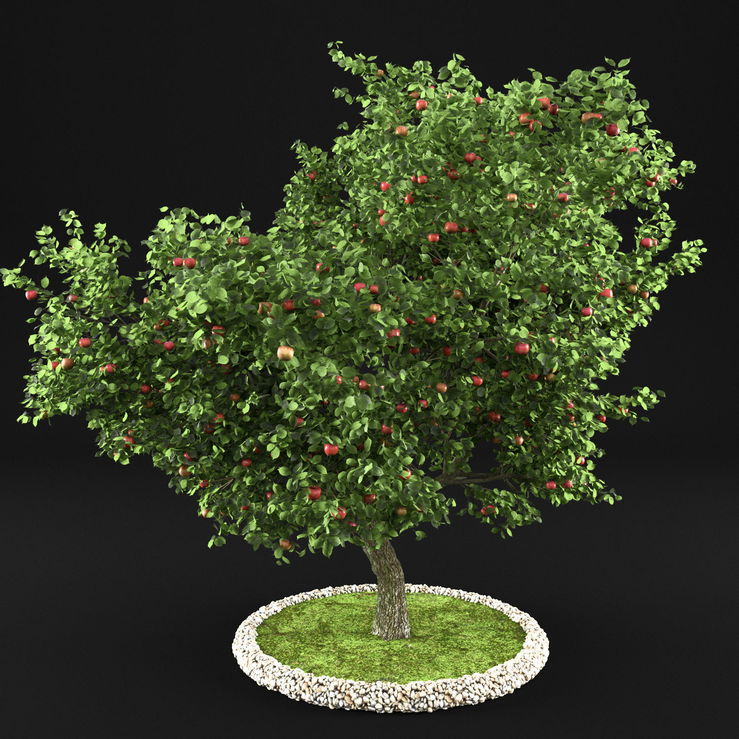 Apple Tree with Leaves 3D model_5