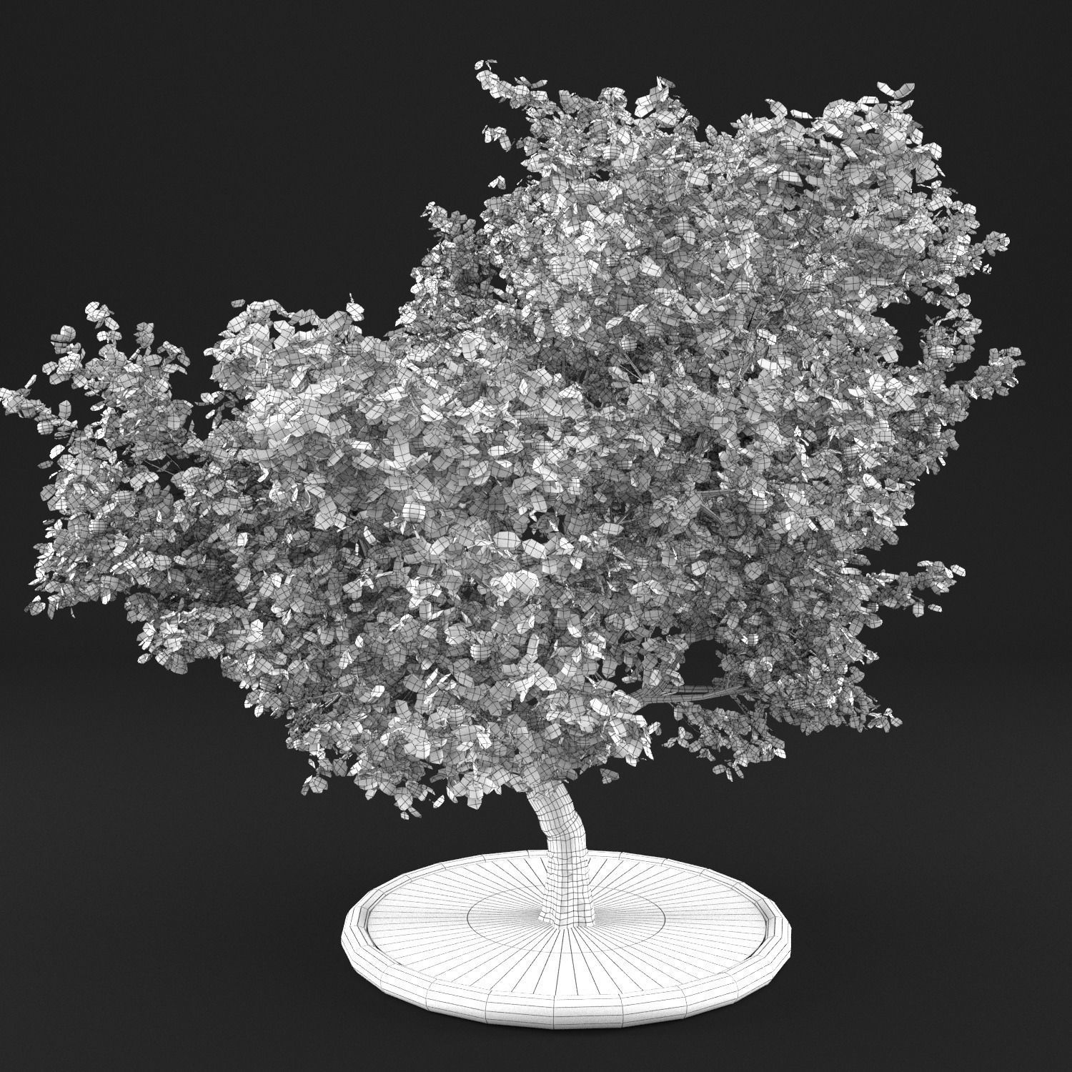 Apple Tree with Leaves 3D model_11