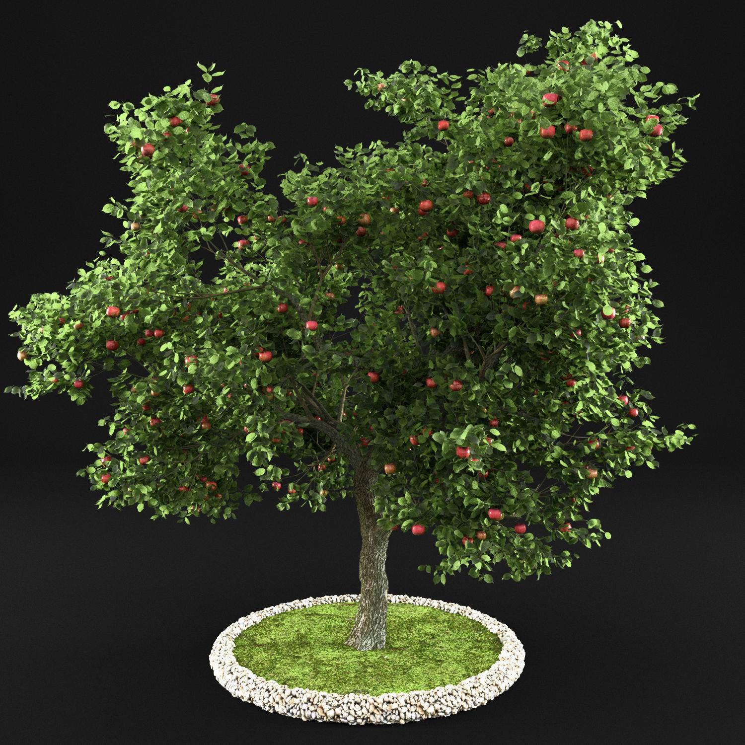 Apple Tree with Leaves 3D model_6
