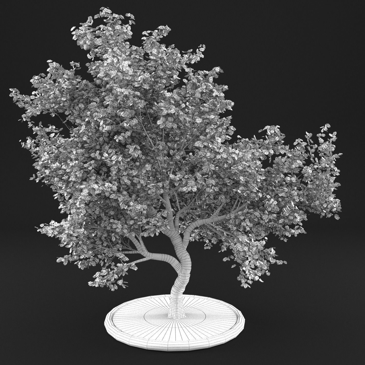 Apple Tree with Leaves 3D model_8