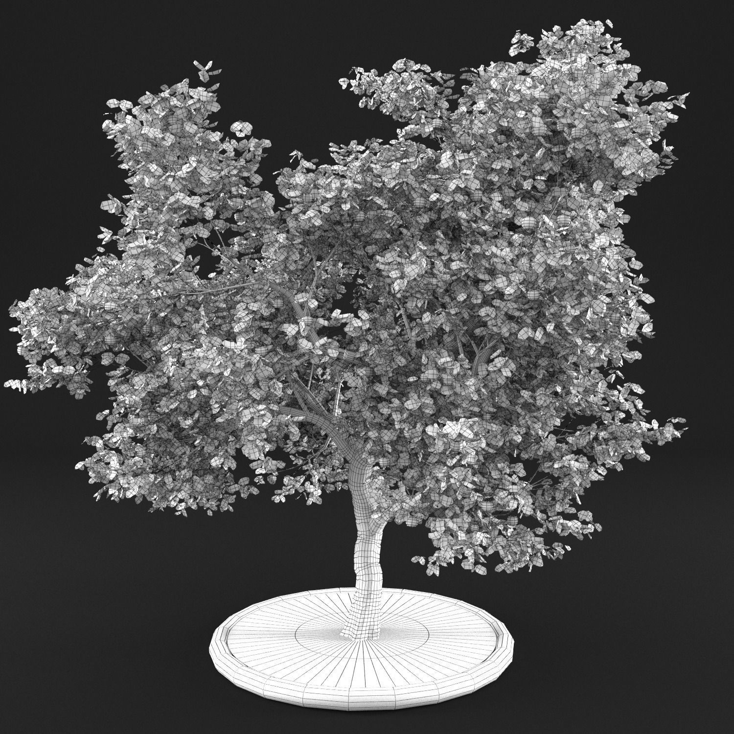 Apple Tree with Leaves 3D model_15