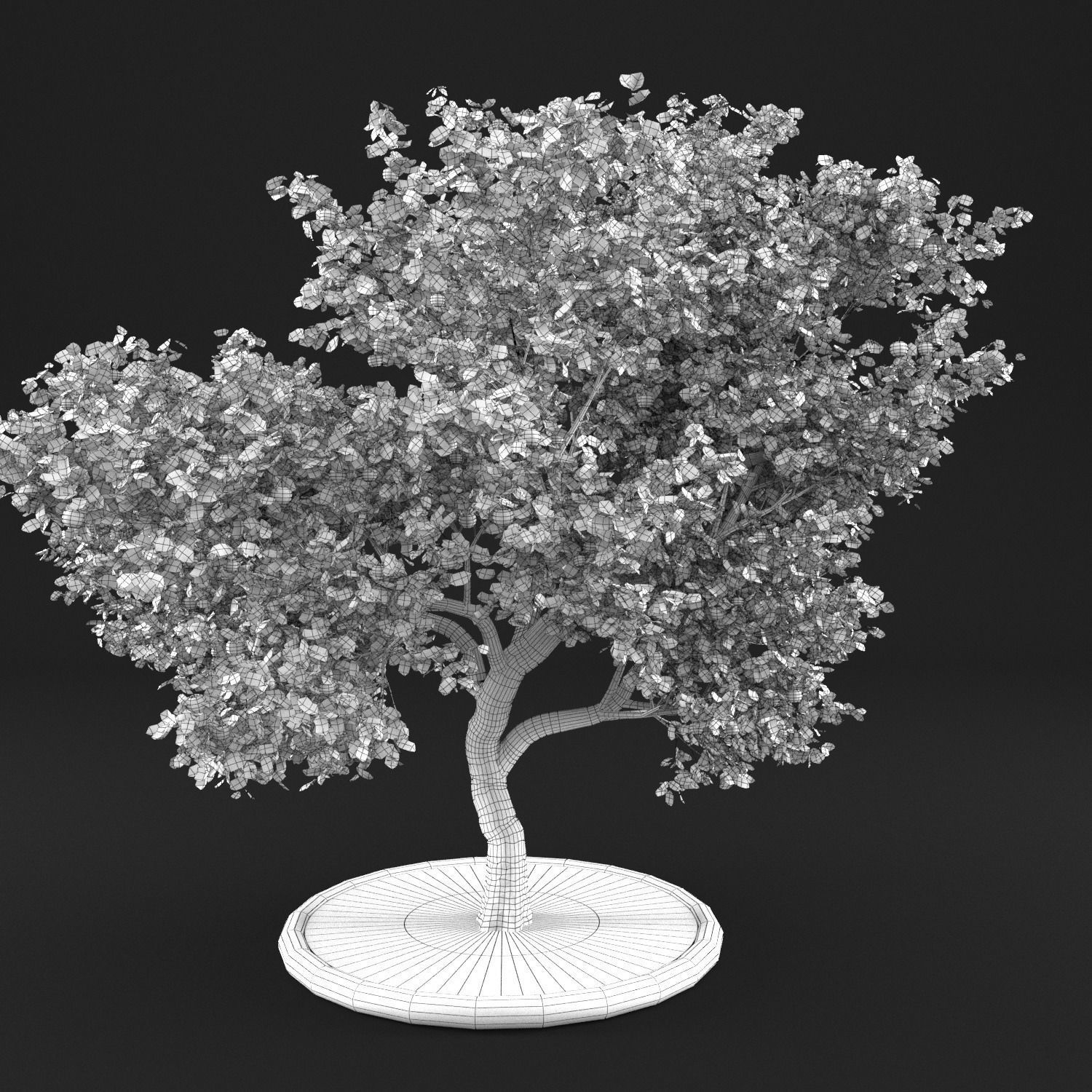 Apple Tree with Leaves 3D model_12