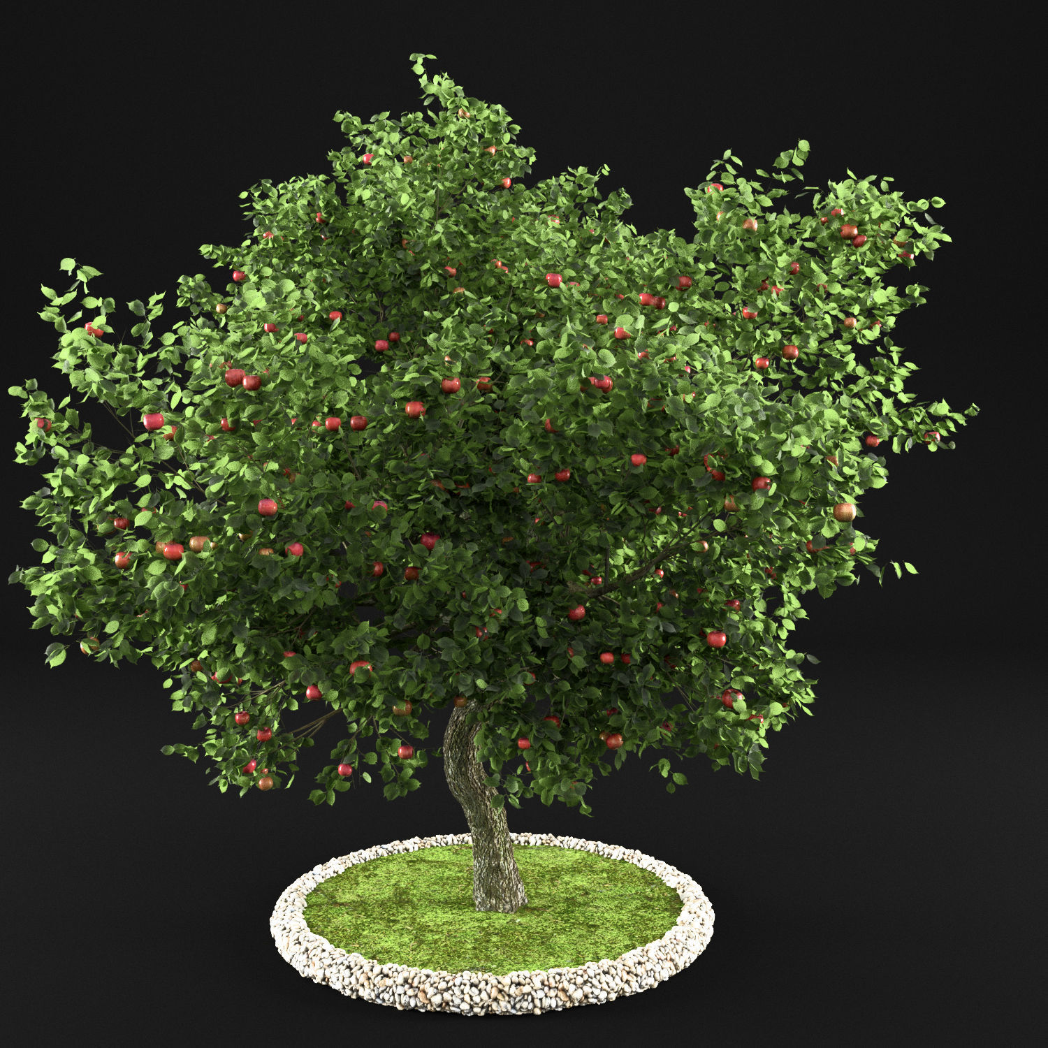 Apple Tree with Leaves 3D model_1