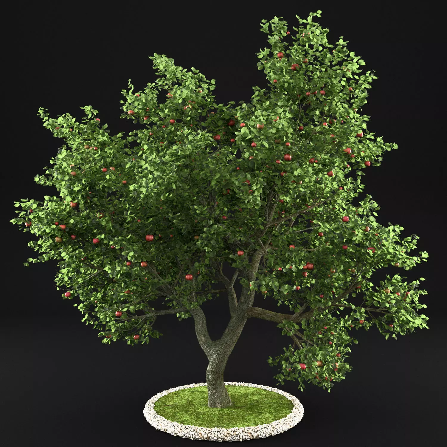 Apple Tree with Leaves 3D model_0
