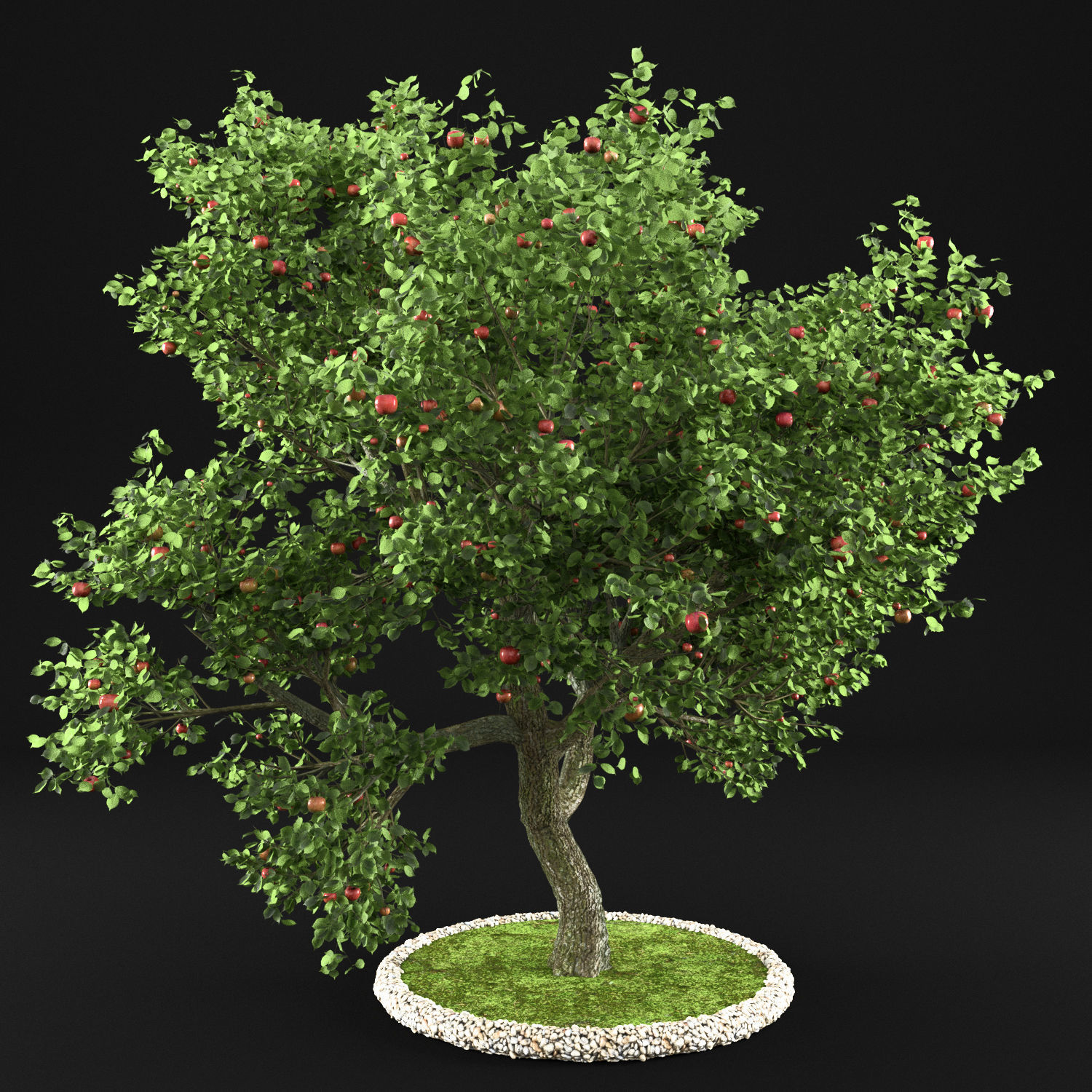 Apple Tree with Leaves 3D model_1