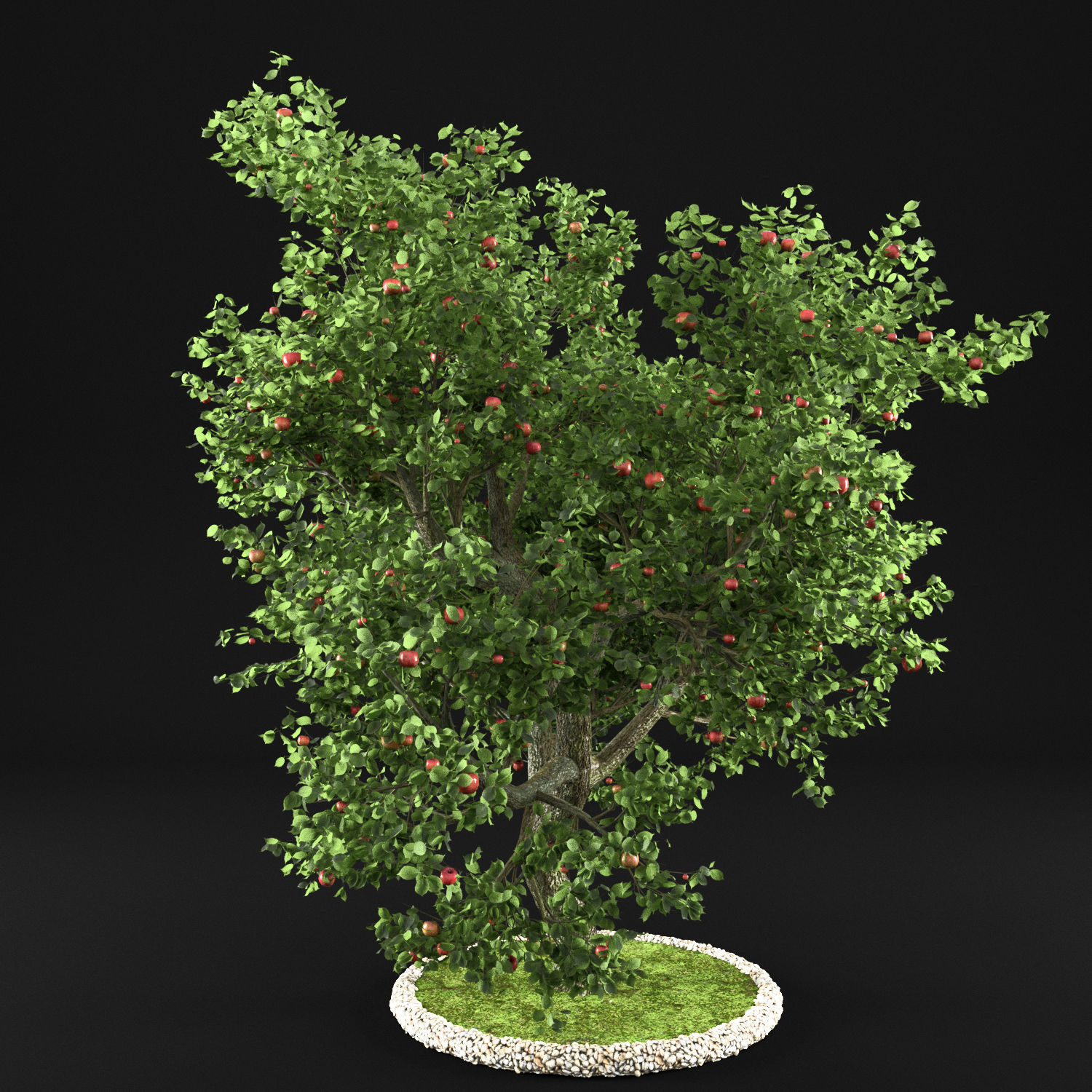 Apple Tree with Leaves 3D model_4
