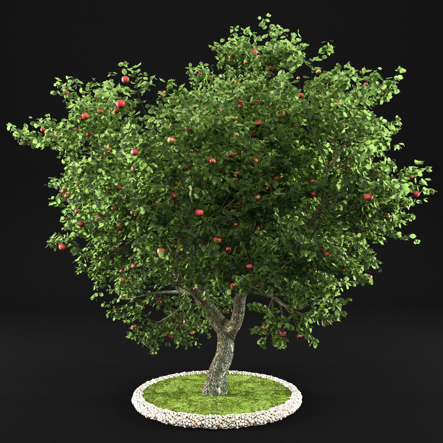 Apple Tree with Leaves 3D model_3