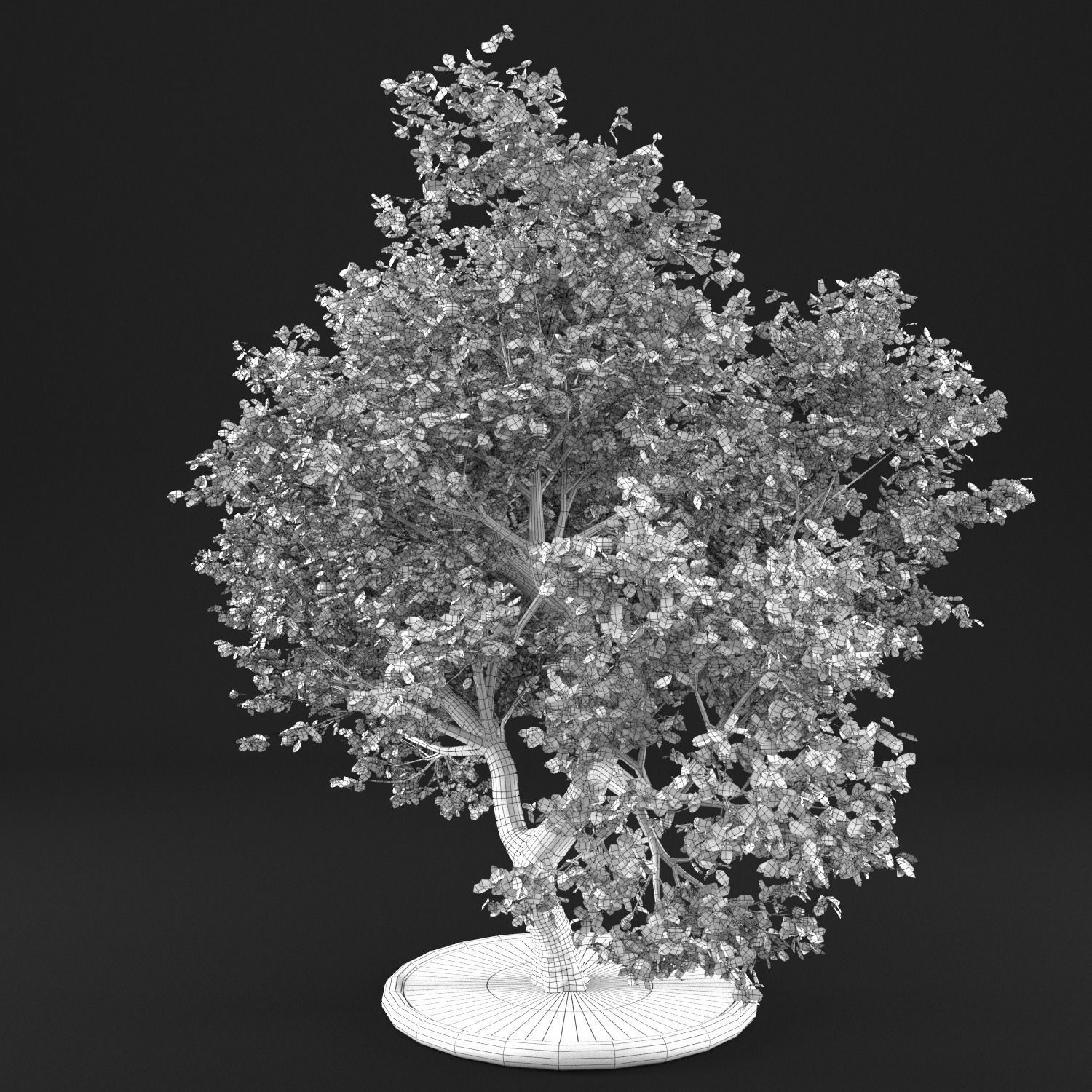 Apple Tree with Leaves 3D model_10