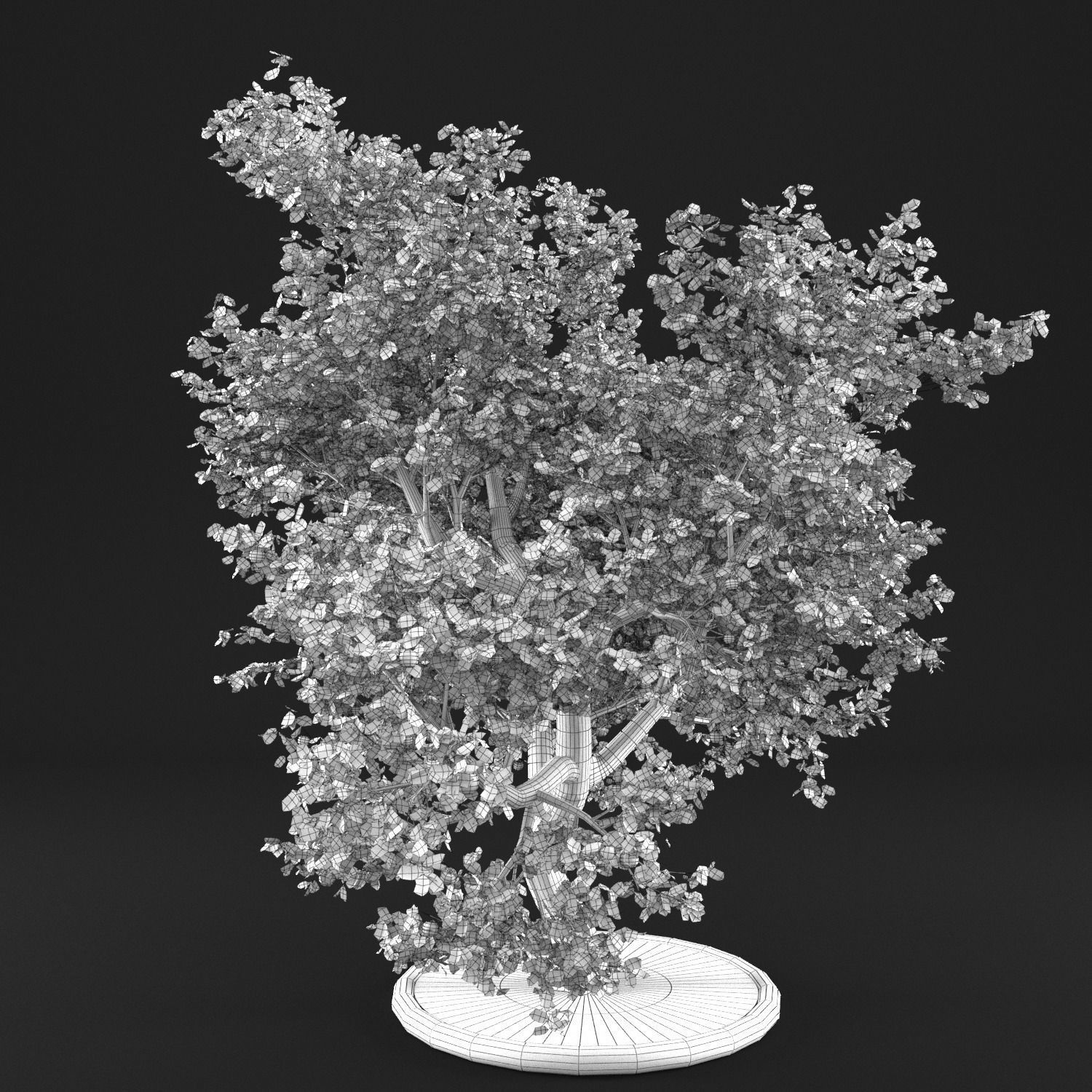 Apple Tree with Leaves 3D model_13