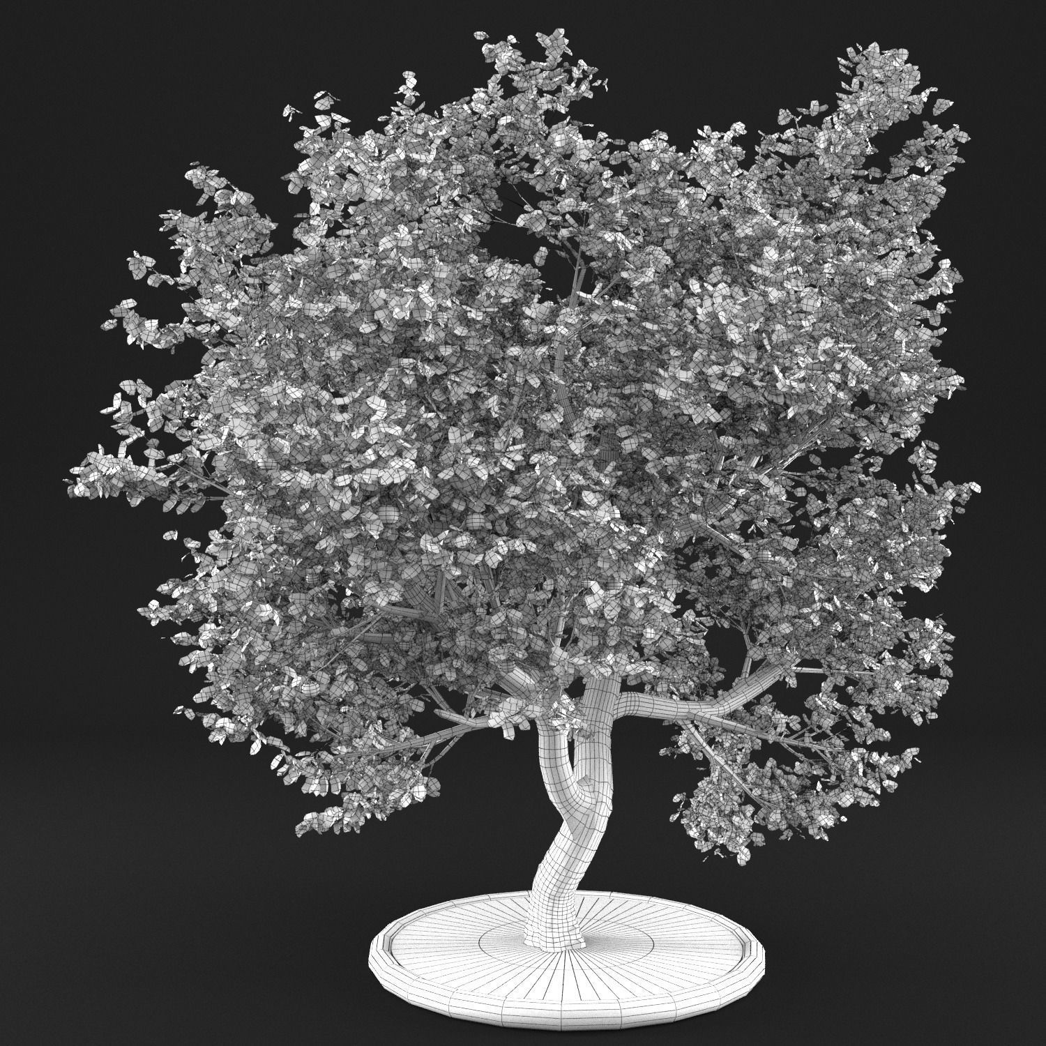 Apple Tree with Leaves 3D model_15