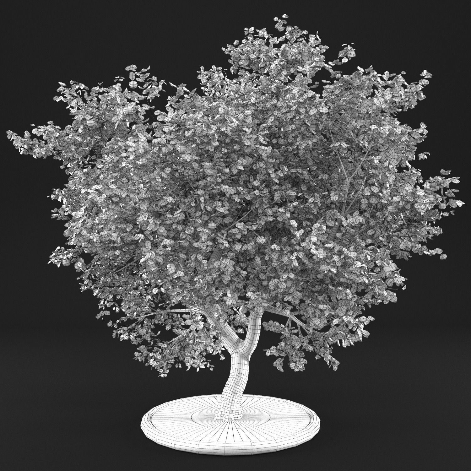 Apple Tree with Leaves 3D model_9