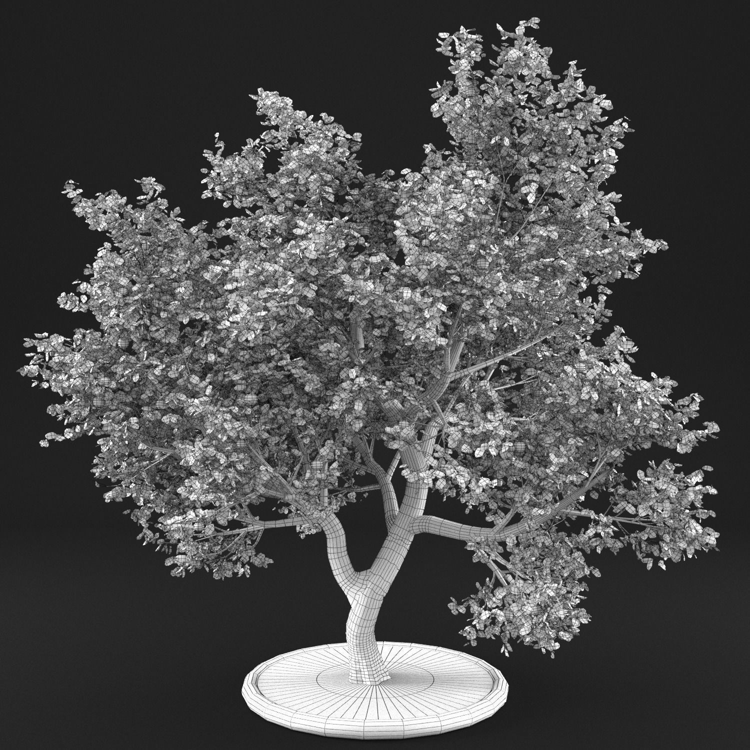 Apple Tree with Leaves 3D model_12