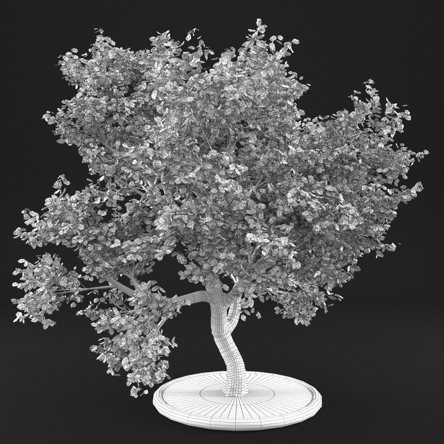 Apple Tree with Leaves 3D model_8