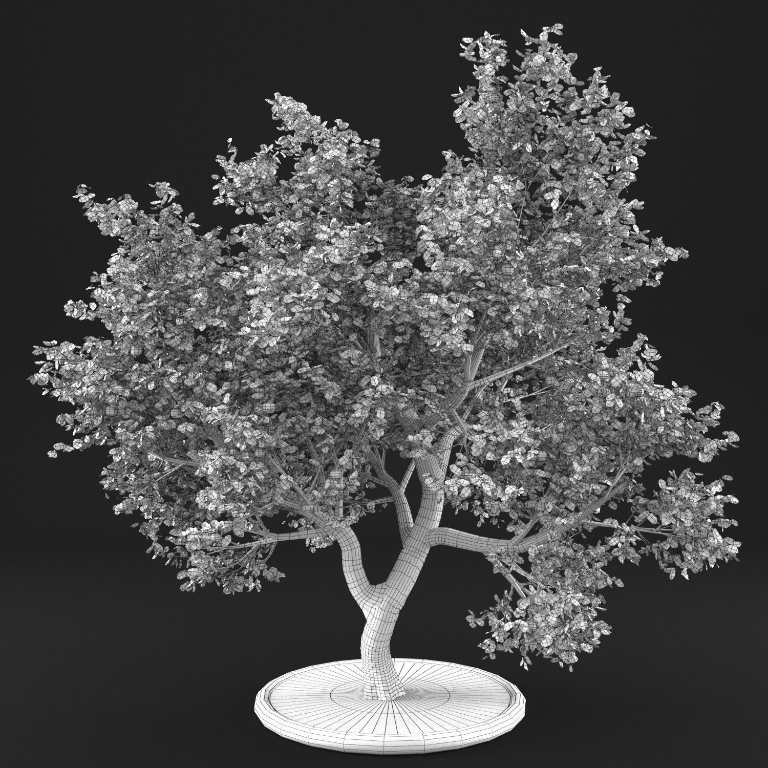 Apple Tree with Leaves 3D model_14