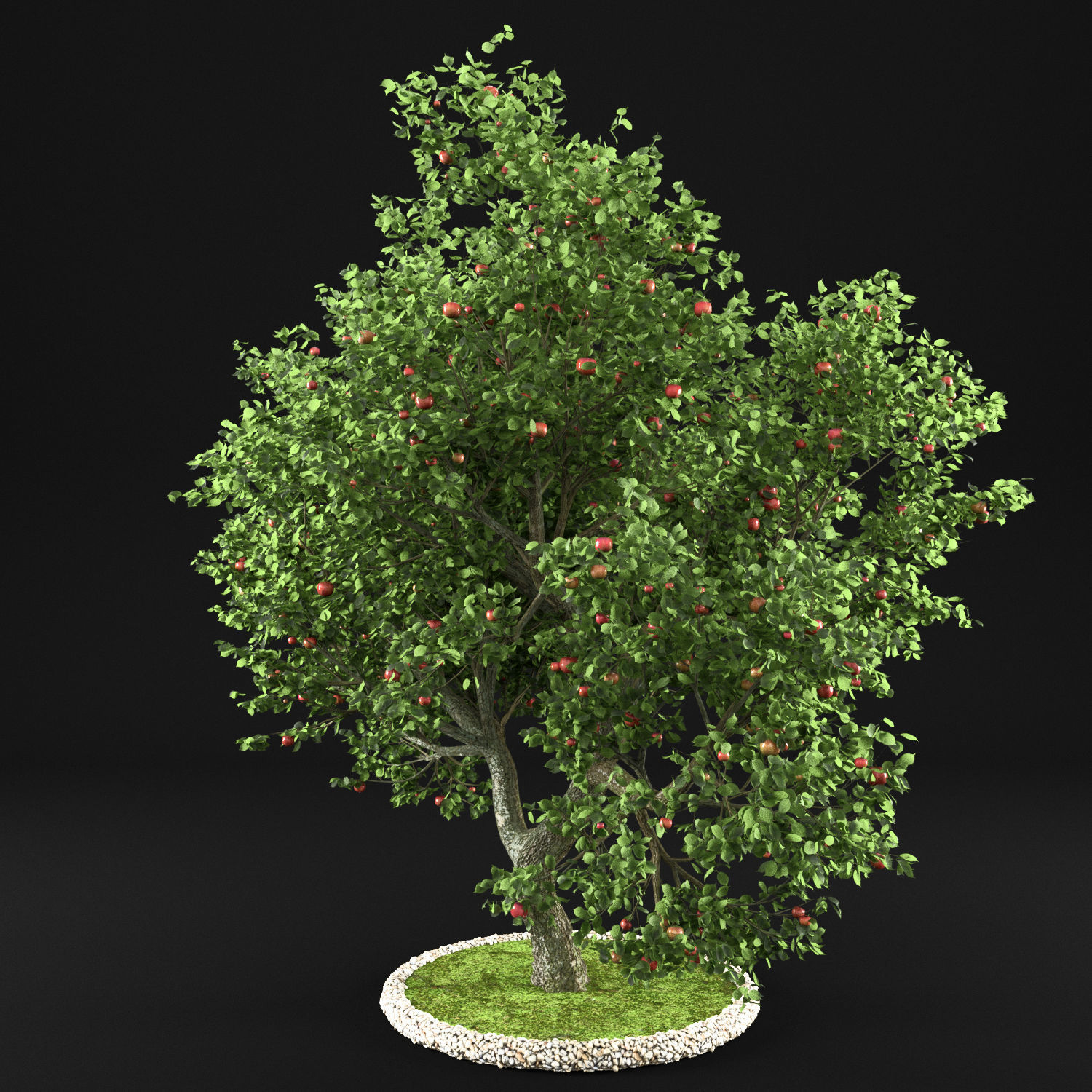 Apple Tree with Leaves 3D model_2