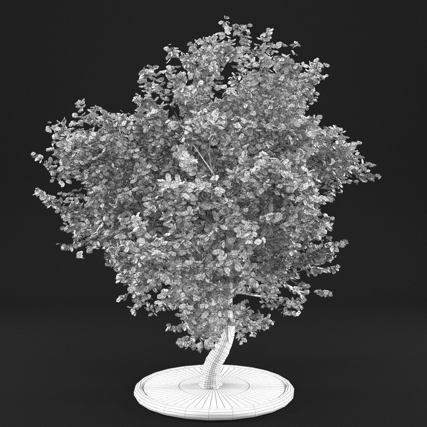 Apple Tree with Leaves 3D model_11