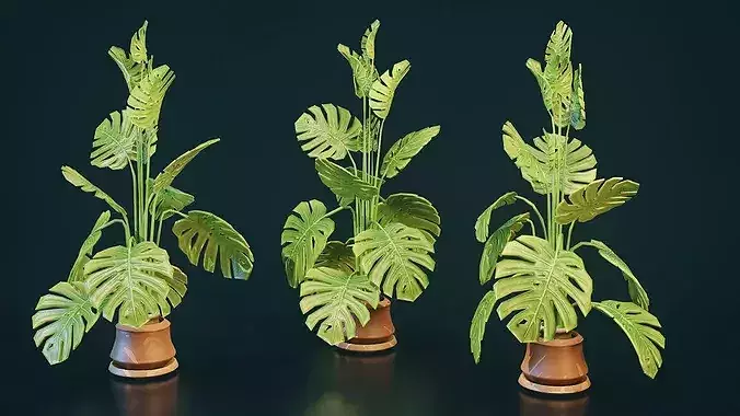 Stylized House Plant 1