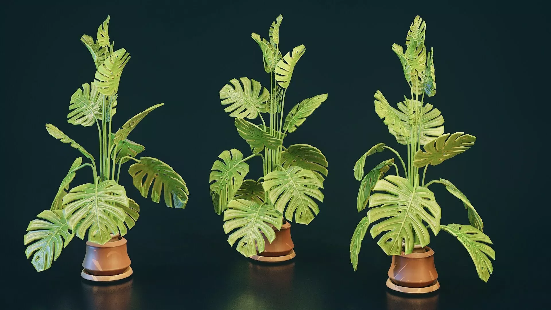 Stylized House Plant 1 Low-poly 3D model