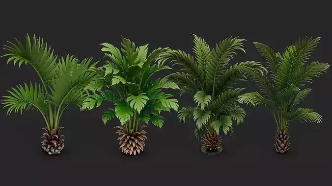 Palm Trees Collection - 10 High Poly Scenes  3D model 3