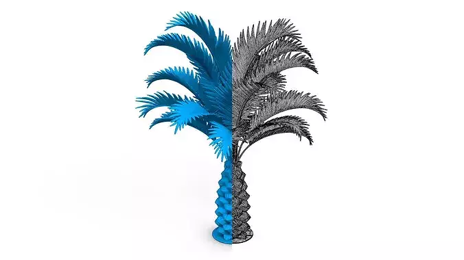 Palm Trees Collection - 10 High Poly Scenes  3D model 7