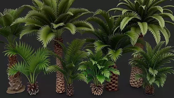 Palm Trees Collection - 10 High Poly Scenes 3D model