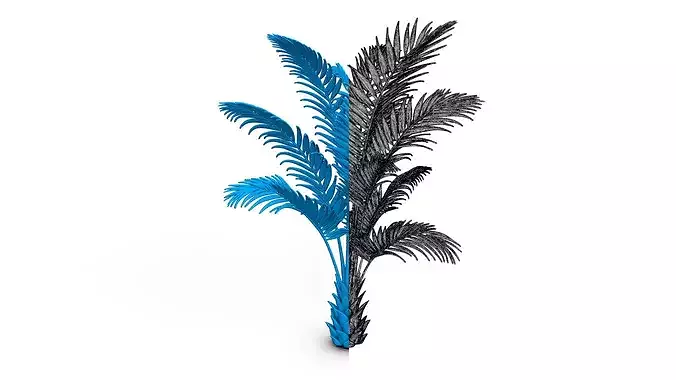 Palm Trees Collection - 10 High Poly Scenes  3D model 5