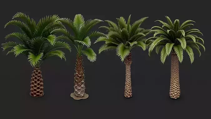 Palm Trees Collection - 10 High Poly Scenes  3D model 2