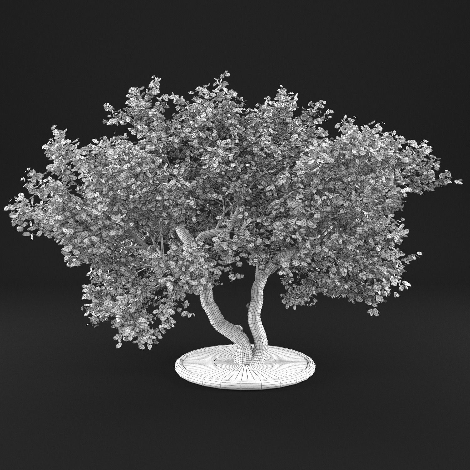 Apple Tree with Leaves 3D model_10